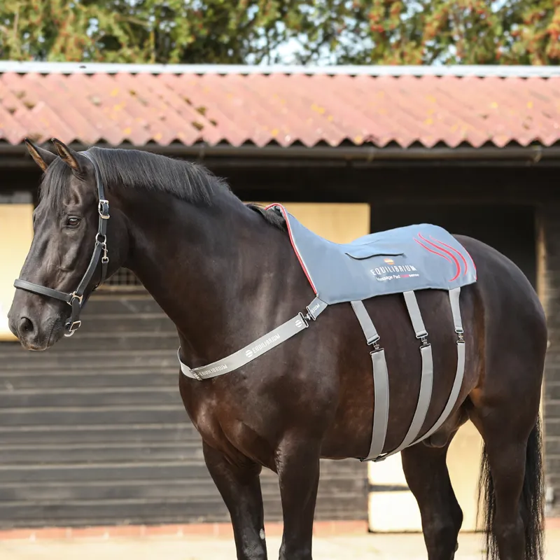 Equilibrium Massage Pad Heatsense - Standard/XL-3